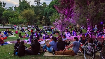 Picnic gratis en Chapultepec por el Día de la Tierra: cuándo será y qué actividades incluye