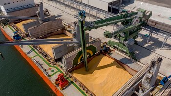 La normativa podría afectar fuertemente las exportaciones argentinas del complejo agroganadero, que cuenta con la Unión Europea como destino muy relevante