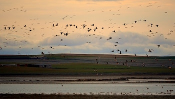 Los cinco destinos ideales para