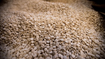 Siria incauta medio millón de pastillas de captagon en una operación coordinada con Irak