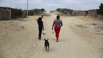 Fenómeno El Niño: La ONU advierte escenario global inminente para este año