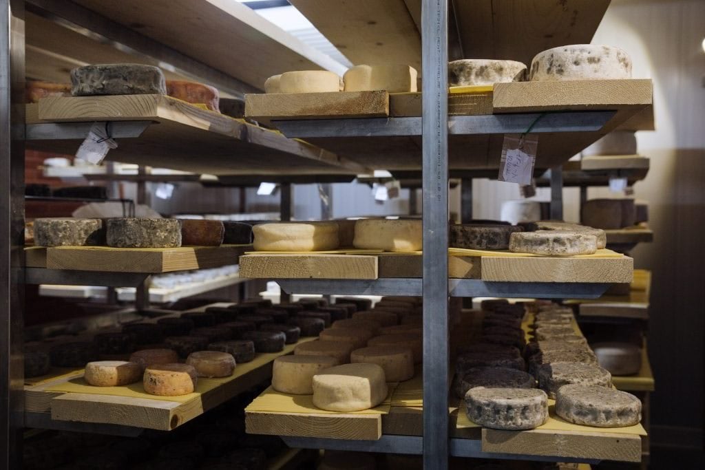 La elaboración de quesos artesanales en Airas Moniz (Web de la quesería)