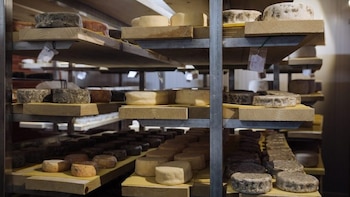 La historia detrás del queso azul elegido como el mejor de España: tres gallegos que abandonaron la granja intensiva para ser artesanos