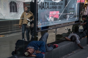 Un estudio de la UNAM
