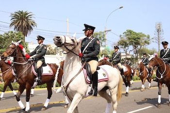 Jinetes militares con uniformes verdes y gorras montan caballos blancos y marrones con riendas, bridas adornadas y mantas de silla en un desfile