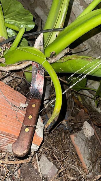 El cuchillo con el que