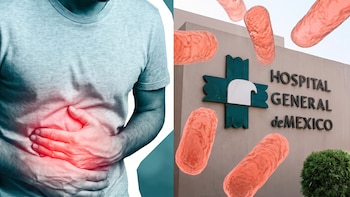 ¿Cómo se transmite la salmonela? La bacteria que dejó 135 médicos contagiados y a 41 de ellos hospitalizados en el Hospital General de México