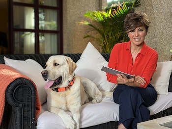 Sonsoles Ónega en una imagen compartida en redes sociales (INSTAGRAM).