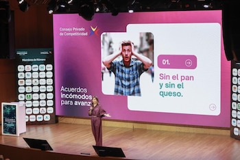 Ana Fernanda Maiguashca, presidenta del