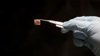 Desarrollan un chip tan delgado