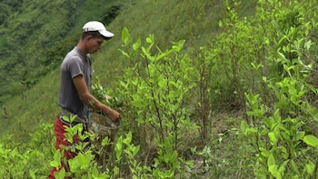 Colombia presentó a la UE