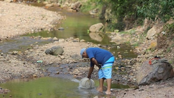 Más de un tercio de Honduras ya está en Alerta Roja por sequía: el problema dejó de ser solo la falta de lluvia