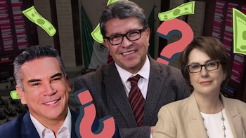 Diputados plurinominales: cuánto ganan y