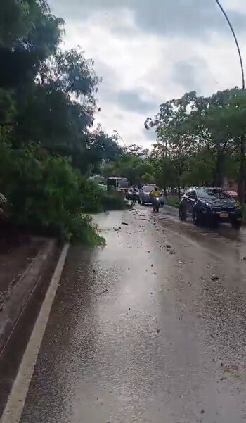 Autoridades alertan sobre la caída