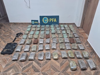 PFA banda narco