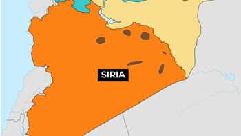 Paso a paso: así fue