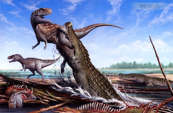 La réplica del Deinosuchus schwimmeri