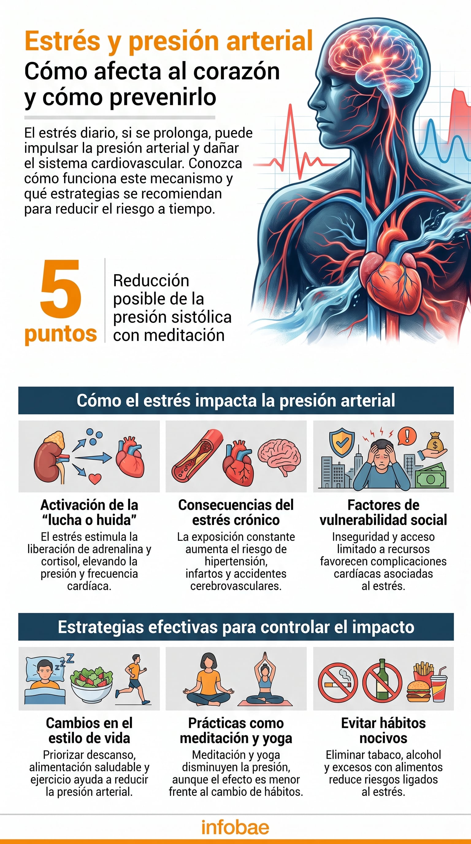 La infografía muestra el impacto del estrés en la presión arterial y el sistema cardiovascular, indicando sus causas, consecuencias, prevención y cómo la meditación reduce la presión sistólica hasta en 5 puntos. (Imagen Ilustrativa Infobae)