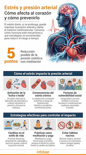 Infografía sobre estrés y presión arterial con ilustración de un cuerpo humano, órganos internos, gráficos de pulso y pictogramas de causas, efectos y prevención.
