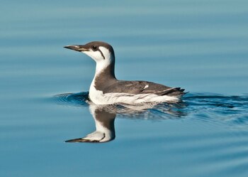 El cambio climático amenaza la