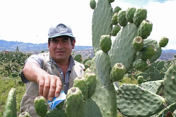 Rica en fibra y antioxidantes,