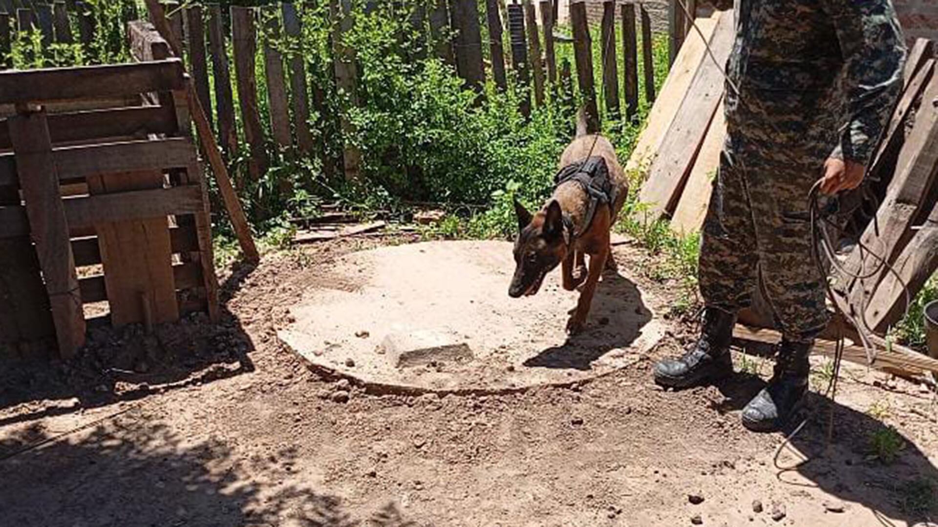 Un can de la División Búsqueda de Personas de la Policía de Chaco siguió un rastro hasta un pozo cloacal, dentro del cual se encontraba el cuerpo de Gabriela Barrios.