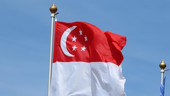 Singapur castigará con hasta 24