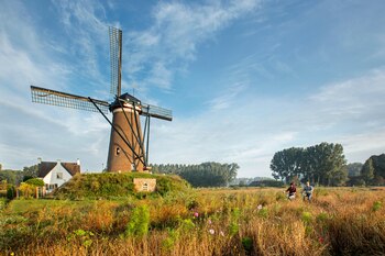 El camino atraviesa áreas que
