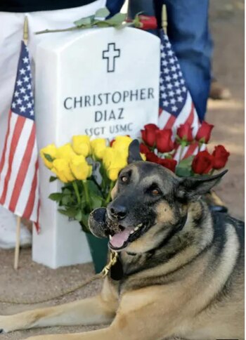 K9 Dino en frente de