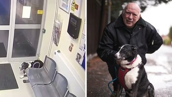 Estaba paseando con su dueño,