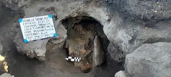 Al interior de la cavidad