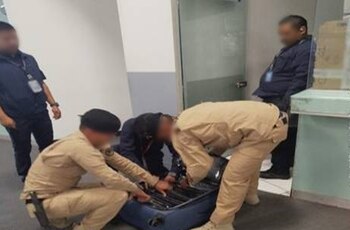 Marihuana decomisada en el AICM