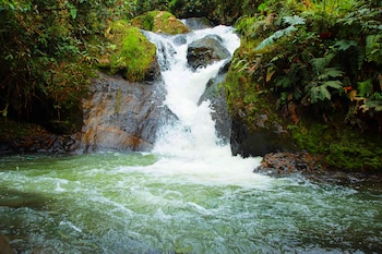 Procuraduría señala la importancia de