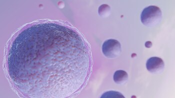 Así actúa el candado molecular