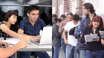 Ley del joven empresario: norma