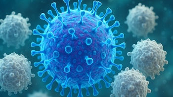 Gripe H3N2: quiénes son los