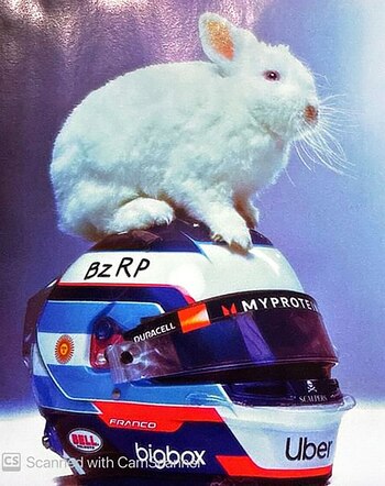 Otra aparición del pequeño conejo,