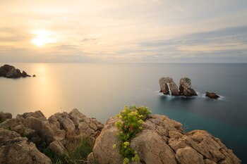 Los Urros en Costa Quebrada