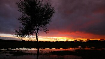 Los fenómenos meteorológicos castigaron a