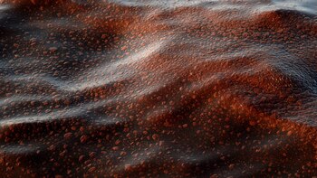 Expertos estiman un vertido de