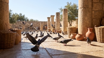 Palomas sobre un suelo de piedra en un patio antiguo con columnas, cestas con granos y vasijas de cerámica bajo la luz del sol.
