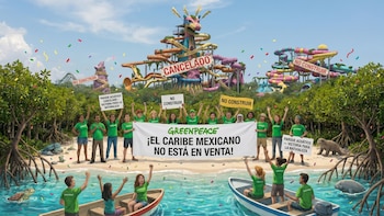 ¿Qué dijo Greenpeace ante la cancelación del proyecto de Mahahual?
