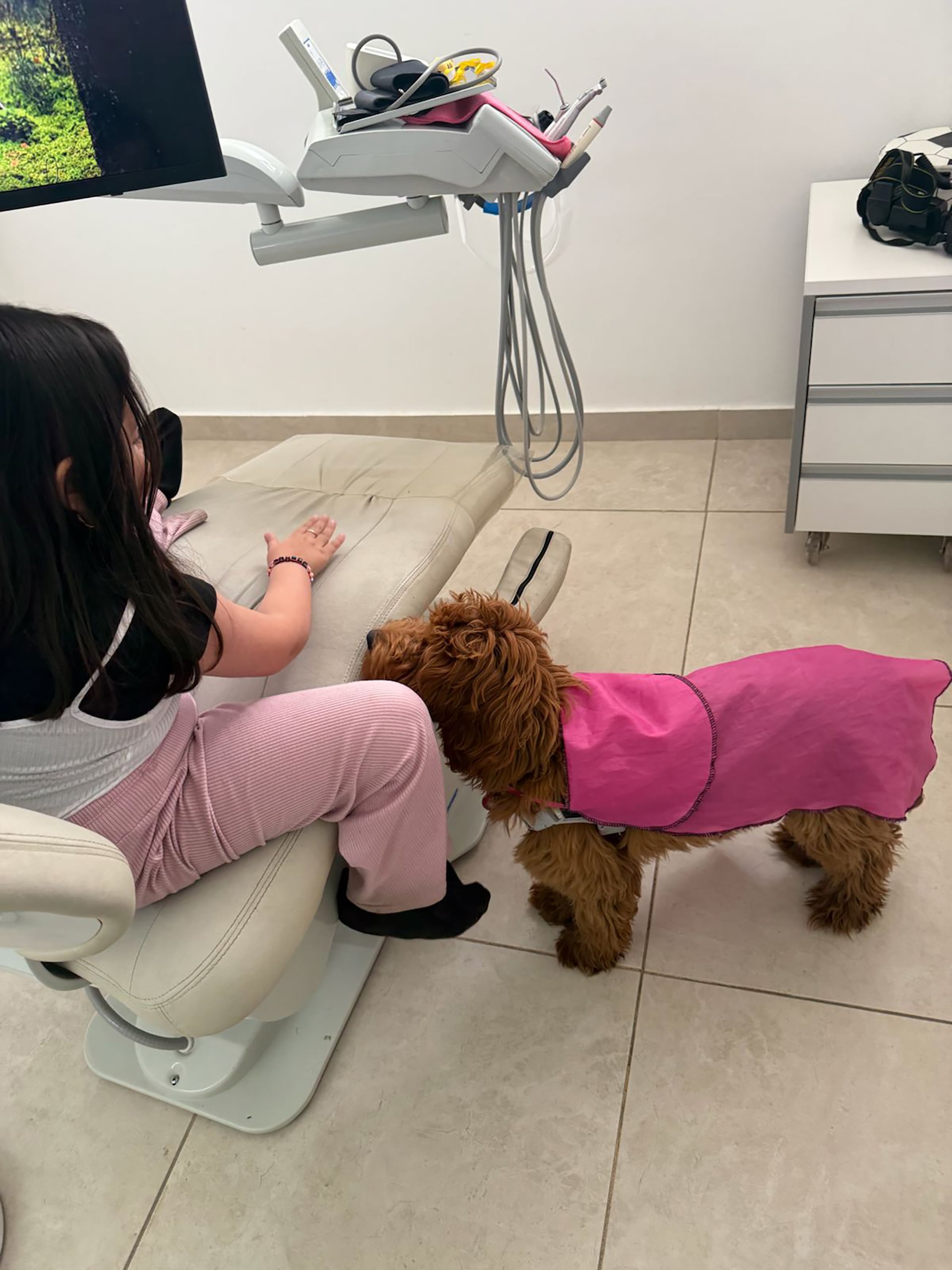 Sanchez Tobares cursó su preparación en la Asociación Argentina de Terapia Asistida con Perros para certificar a Hope en 2027