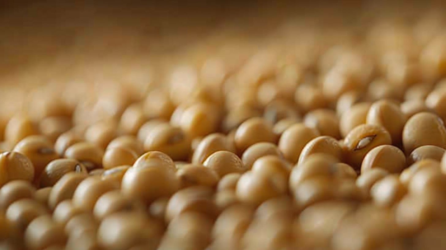 El tofu se elabora a partir de soja, agua y un coagulante (Imagen Ilustrativa Infobae)