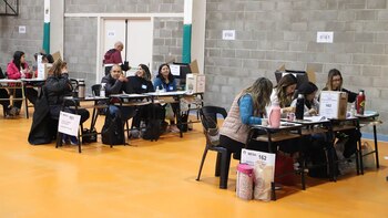 Nuevamente los comicios neuquinos contarán