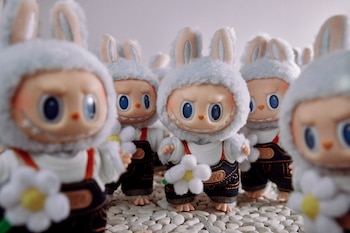 Imagen NBO3MJITMVDXZO3OU2Z7HGNOPY