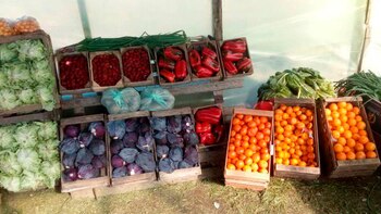 Osudar ya dio por perdida