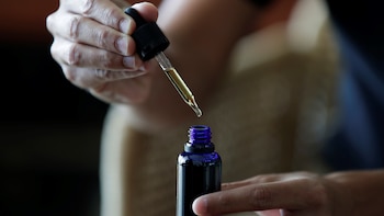 Alertaron por el regreso de