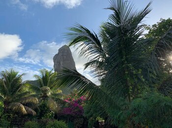 (Foto. Marina Lopes/TWP)