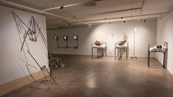 "Estadío inicial" fue concebida como el primer capítulo de un ciclo de cuatro exposiciones